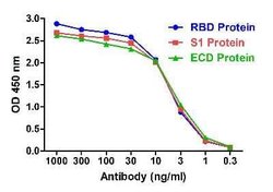 SARS-CoV-2 Spike RBD Antibody (T5P7-G10) - VHH - Azide and BSA Free, Novus