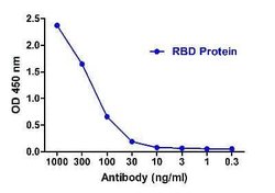 SARS-CoV-2 Spike RBD Antibody (T5P7-G12) - VHH - Azide and BSA Free, Novus Biologicals 0.1 mg | Buy Online | Bio-Techne | Fisher Scientific
