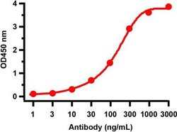 SARS-CoV-2 nsp13 Antibody - BSA Free, Novus Biologicals 0.1 mg | Buy Online | Novus Biologicals | Fisher Scientific