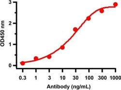 SARS-CoV-2 nsp4 Antibody - BSA Free, Novus Biologicals 0.1 mg | Buy Online | Novus Biologicals | Fisher Scientific