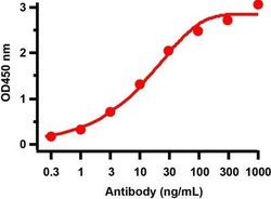 SARS-CoV-2 nsp6 Antibody - BSA Free, Novus Biologicals 0.1 mg | Buy Online | Novus Biologicals | Fisher Scientific