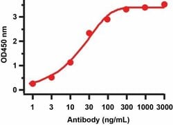 SARS-CoV-2 nsp8 Antibody - BSA Free, Novus Biologicals 0.1 mg; Unconjugated:Antibodies,