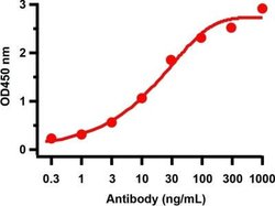 SARS-CoV-2 nsp9 Antibody - BSA Free, Novus Biologicals 0.1 mg | Buy Online | Novus Biologicals | Fisher Scientific