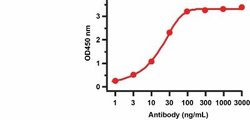 SARS-CoV-2 nsp9 Antibody - BSA Free, Novus Biologicals 0.1 mg | Buy Online | Novus Biologicals | Fisher Scientific