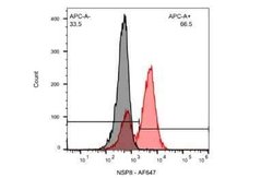 SARS-CoV NSP8 Antibody (5A10), Novus Biologicals 100 &mu;g; Unconjugated:Antibodies,