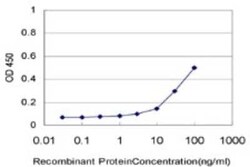 SCARA3 Antibody (3A2), Novus Biologicals 0.1 mg | Buy Online | Novus Biologicals | Fisher Scientific
