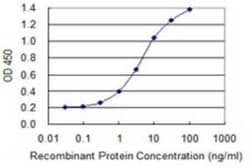 SCY1 like 3 Antibody (3D3), Novus Biologicals 0.1 mg | Buy Online | Novus Biologicals | Fisher Scientific