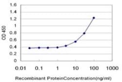 SEC6 Antibody (4A7), Novus Biologicals 0.1 mg | Buy Online | Novus Biologicals | Fisher Scientific