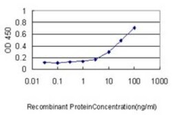 SESN2 Antibody (3B8), Novus Biologicals 0.1 mg; Unconjugated:Antibodies,