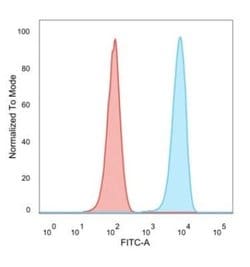 SET Mouse anti-Human, Clone: PCRP-SET-1C6, Novus Biologicals 20 &mu;g;