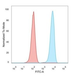 SET Antibody (PCRP-SET-1C6) - Azide and BSA Free, Novus Biologicals 100 &mu;g | Buy Online | Novus Biologicals | Fisher Scientific