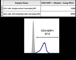 SH2D1A Antibody (1C9), Novus Biologicals 0.1 mg | Buy Online | Novus Biologicals | Fisher Scientific