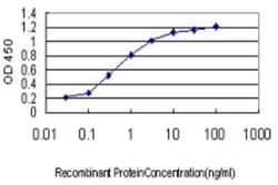 SH3BP4 Antibody (3F3), Novus Biologicals 0.1 mg | Buy Online | Novus Biologicals | Fisher Scientific