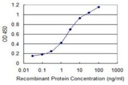 SH3BP5 Antibody (1D5), Novus Biologicals 0.1 mg | Buy Online | Novus Biologicals | Fisher Scientific