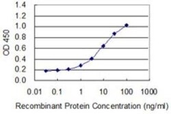 SH3PX1 Antibody (3C6), Novus Biologicals 50 &mu;g | Buy Online | Novus Biologicals | Fisher Scientific