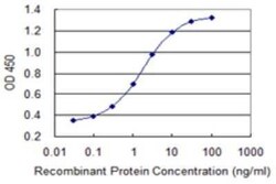 SI Sucrase-Isomaltase Antibody (1A8), Novus Biologicals 0.1 mg | Buy Online | Novus Biologicals | Fisher Scientific