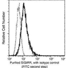 SIGIRR Rabbit anti-Human, Clone: 10, Novus Biologicals:Antibodies:Primary