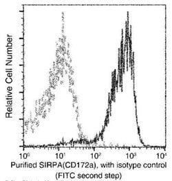 SIRP alpha/CD172a Rabbit anti-Mouse, Clone: 12, Novus Biologicals 100 &mu;g;