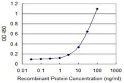 SLC17A4 Antibody (3E4), Novus Biologicals 0.1 mg | Buy Online | Novus Biologicals | Fisher Scientific