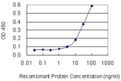 Novus Biologicals SLC25A11 Antibody (3G4), Novus Biologicals 0.1 mg | Buy Online | Novus Biologicals&trade; | Fisher Scientific