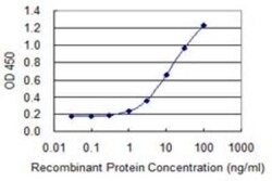 SLC26A3 Antibody (2E3), Novus Biologicals 0.1 mg | Buy Online | Novus Biologicals | Fisher Scientific