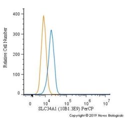 SLC34A1 Antibody (10B1.3E9) - Azide and BSA Free, Novus Biologicals 0.1