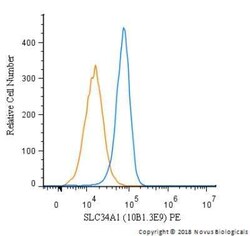 SLC34A1 Antibody (10B1.3E9) - BSA Free, Novus Biologicals:Antibodies:Primary