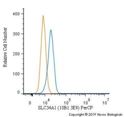 SLC34A1 Antibody (10B1.3E9) - BSA Free, Novus Biologicals:Antibodies:Primary
