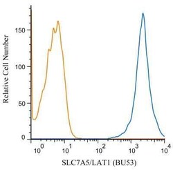 SLC7A5/LAT1 Antibody (BU53) - BSA Free, Novus Biologicals 0.025 mL, Unconjugated:Antibodies,