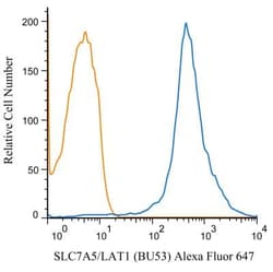 SLC7A5/LAT1 Antibody (BU53) - BSA Free, Novus Biologicals 0.025 mL, Unconjugated:Antibodies,