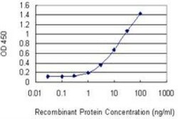 SLMAP Antibody (2A7), Novus Biologicals 0.1 mg | Buy Online | Novus Biologicals | Fisher Scientific