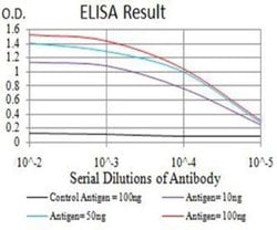 SMARCA1 Antibody (2H7B9) - BSA Free, Novus Biologicals 0.1 ml; Unconjugated:Antibodies,