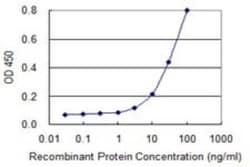 SMCP Antibody (4F4), Novus Biologicals 0.1 mg; Unconjugated:Antibodies,