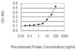 SMUG1 Antibody (4D5), Novus Biologicals 0.1 mg, Unconjugated:Anticorps,