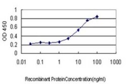 SNX12 Antibody (2C10), Novus Biologicals 0.1 mg | Buy Online | Novus Biologicals | Fisher Scientific
