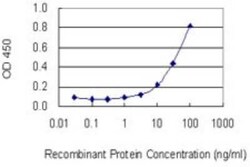 SOCS-4 Antibody (2G8), Novus Biologicals 0.1 mg; Unconjugated:Antibodies,