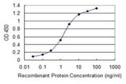 SOX15 Antibody (2C1), Novus Biologicals 0.1 mg | Buy Online | Novus Biologicals | Fisher Scientific