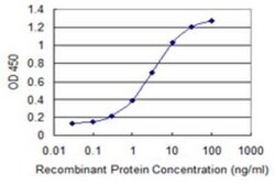 SOX22 Antibody (2D3), Novus Biologicals 0.1 mg | Buy Online | Novus Biologicals | Fisher Scientific