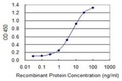 SOX22 Antibody (4A7), Novus Biologicals 0.1 mg | Buy Online | Novus Biologicals | Fisher Scientific