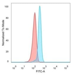 SPIC Mouse anti-Human, Clone: PCRP-SPIC-2C5, Novus Biologicals:Antibodies:Primary