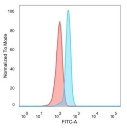 SPIC Antibody (PCRP-SPIC-2C5) - Azide and BSA Free, Novus Biologicals 100