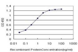 SPRR3 Antibody (4A12), Novus Biologicals 0.1 mg | Buy Online | Novus Biologicals | Fisher Scientific