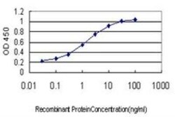 SPRY1 Antibody (3H4), Novus Biologicals 0.1 mg | Buy Online | Novus Biologicals | Fisher Scientific