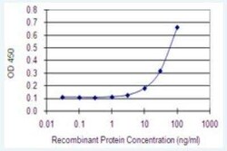 ST3GAL5 Antibody (8B4), Novus Biologicals 100 &mu;g | Buy Online | Novus Biologicals | Fisher Scientific