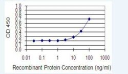 STAP2 Antibody (6C7), Novus Biologicals 100 &mu;g | Buy Online | Novus Biologicals | Fisher Scientific