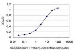 STAT6 Antibody (6C10), Novus Biologicals 100 &mu;g;, Unconjugated:Antibodies,