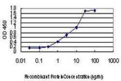 STAU2 Antibody (1B9), Novus Biologicals 0.1 mg | Buy Online | Novus Biologicals | Fisher Scientific