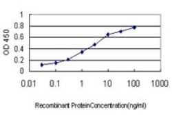 STAU2 Antibody (5C5), Novus Biologicals 0.1 mg | Buy Online | Novus Biologicals | Fisher Scientific