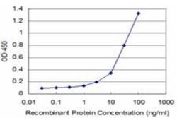 STYK1 Antibody (4A4), Novus Biologicals 0.1 mg | Buy Online | Novus Biologicals | Fisher Scientific