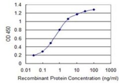 SUPT16H Antibody (2D1), Novus Biologicals 0.1 mg | Buy Online | Novus Biologicals | Fisher Scientific
